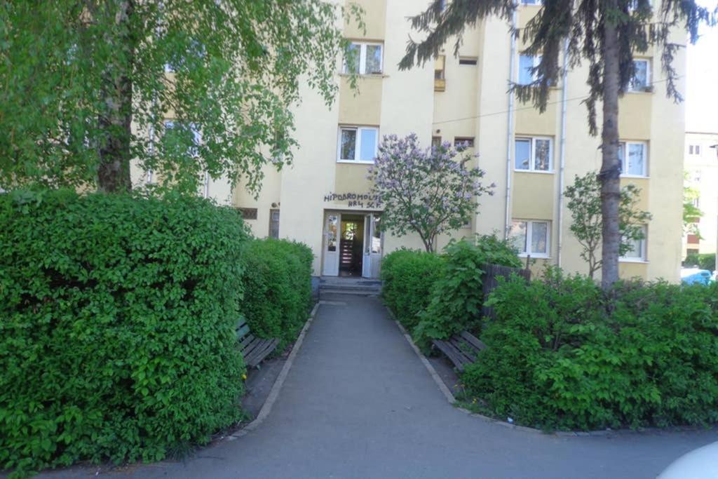 Aldine Comfort : Entire Apartment With 2 Bedrooms Sibiu Exterior photo